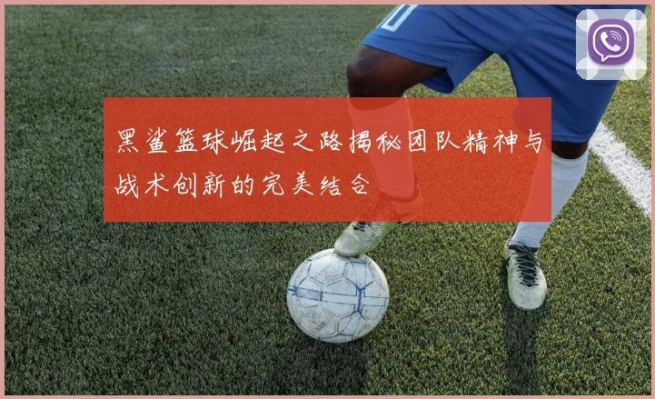 黑鲨篮球崛起之路揭秘团队精神与战术创新的完美结合