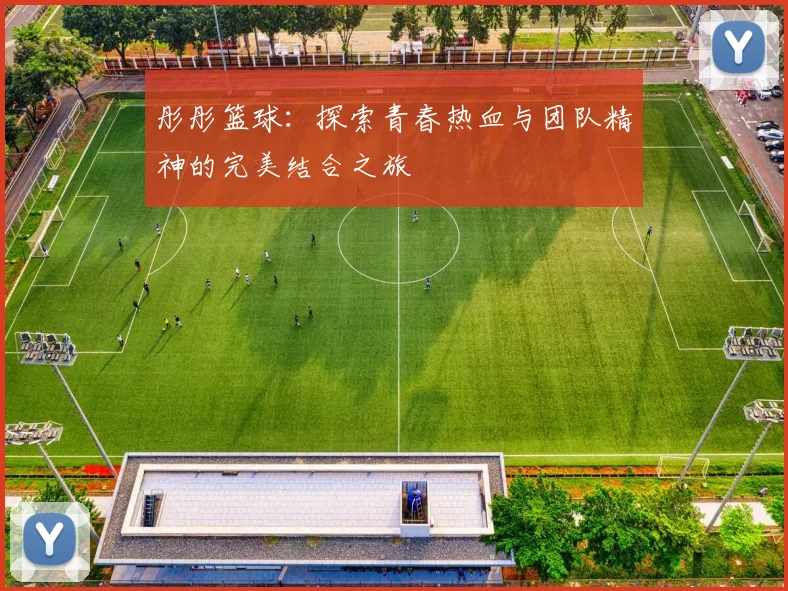 彤彤篮球：探索青春热血与团队精神的完美结合之旅